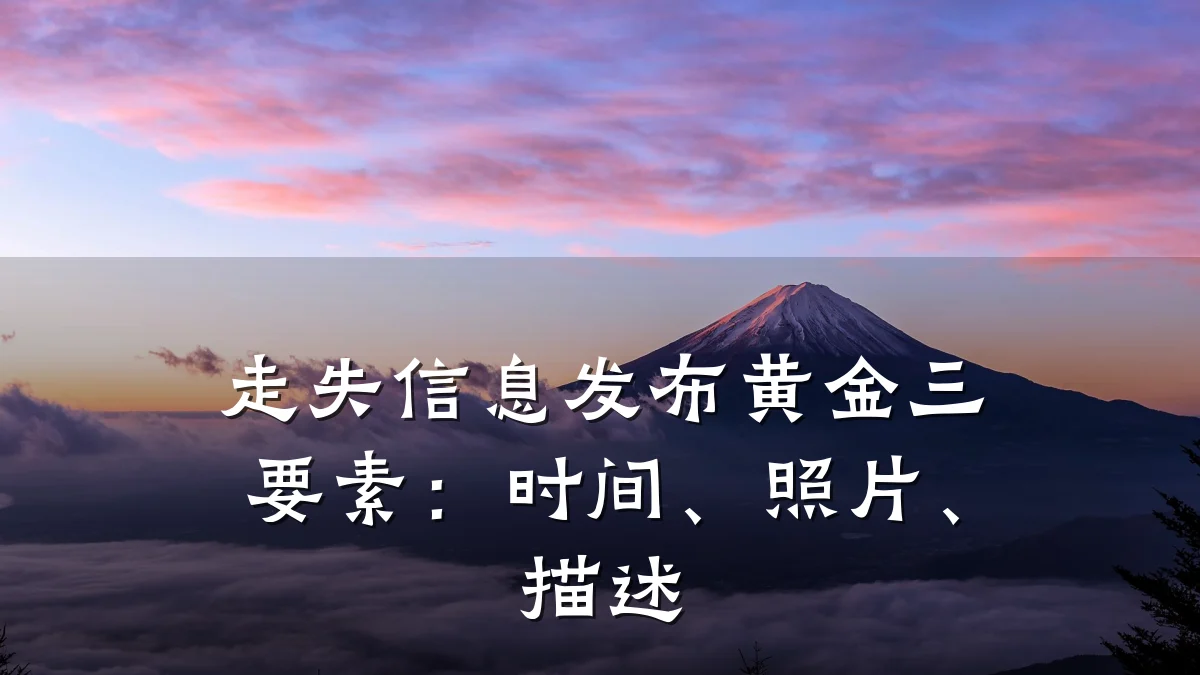 走失信息发布黄金三要素:时间、照片、描述