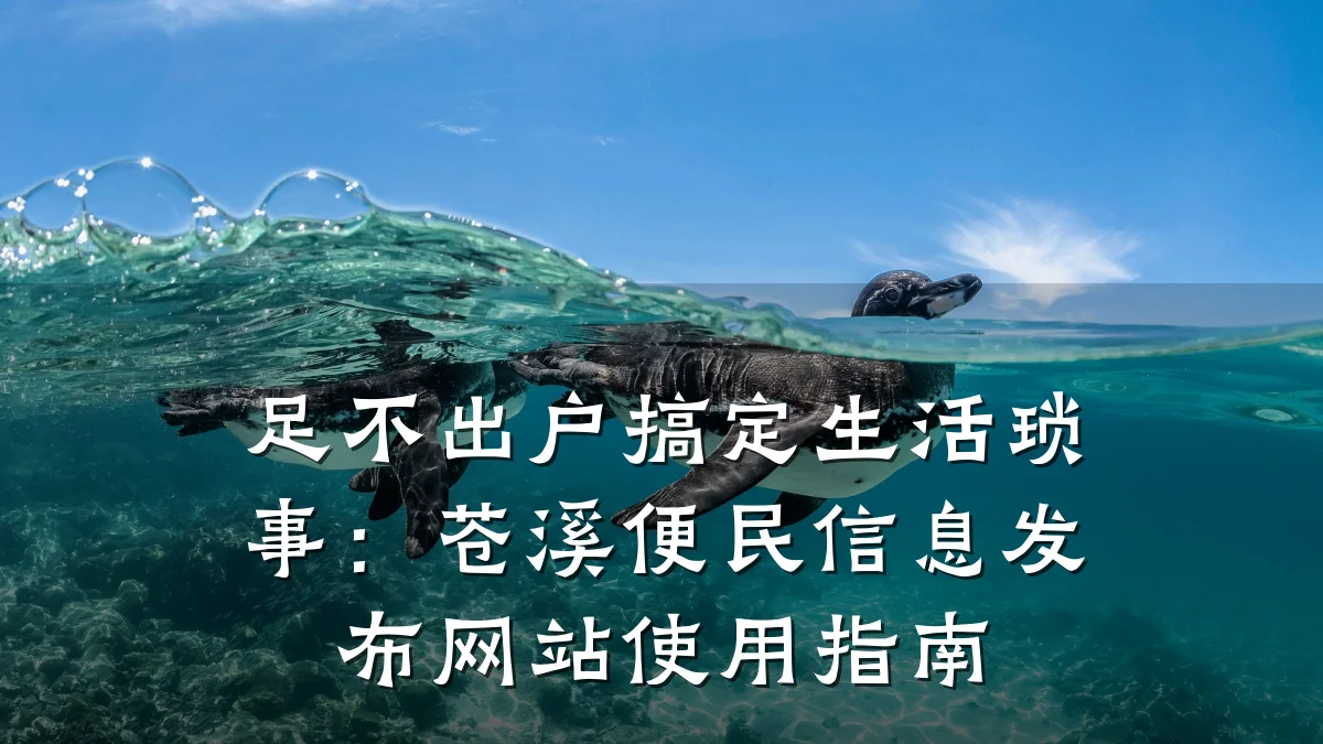 足不出户搞定生活琐事:苍溪便民信息发布网站使用指南