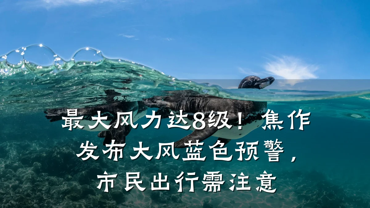 最大风力达8级!焦作发布大风蓝色预警,市民出行需注意
