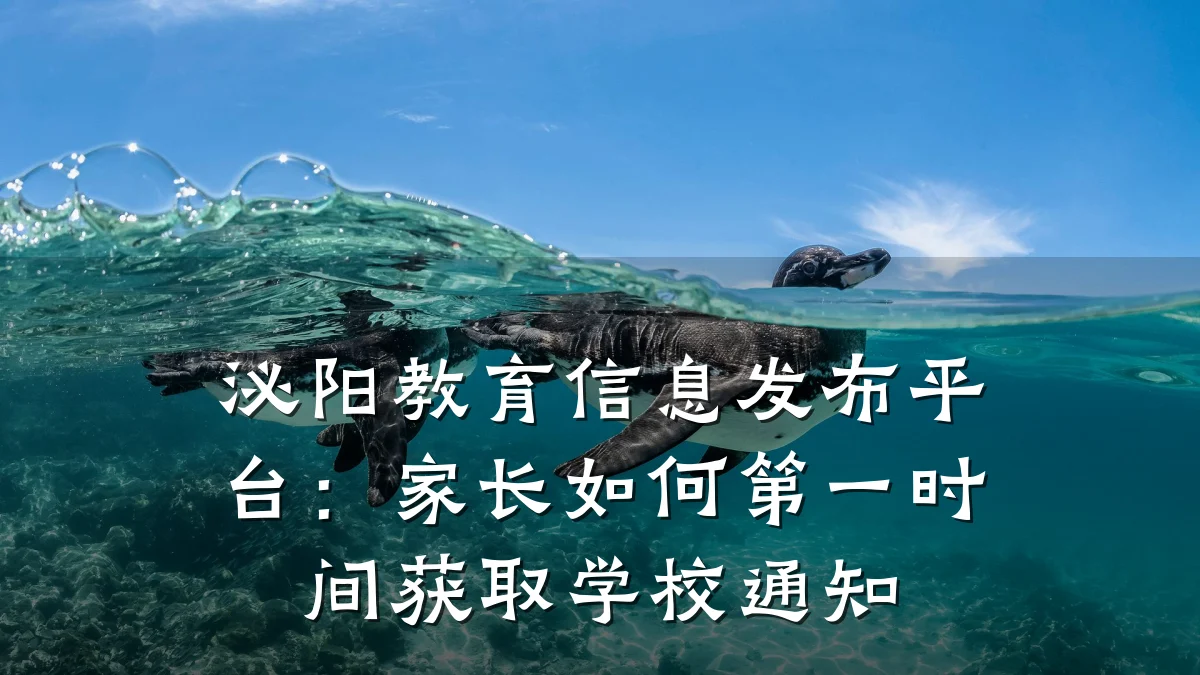 泌阳教育信息发布平台:家长如何第一时间获取学校通知