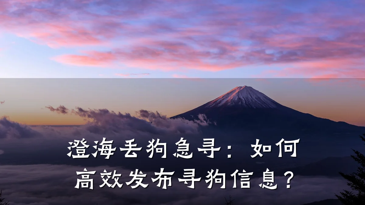 澄海丢狗急寻:如何高效发布寻狗信息?