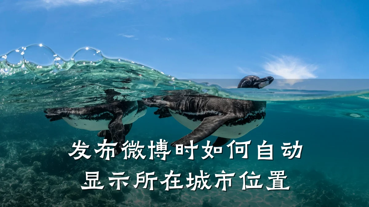 发布微博时如何自动显示所在城市位置