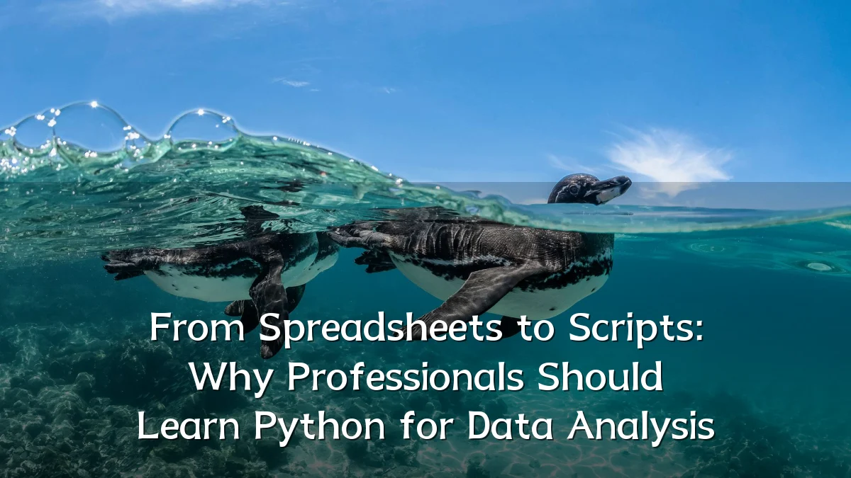 From Spreadsheets to Scripts: Why Professionals Should Learn Python for Data Analysis