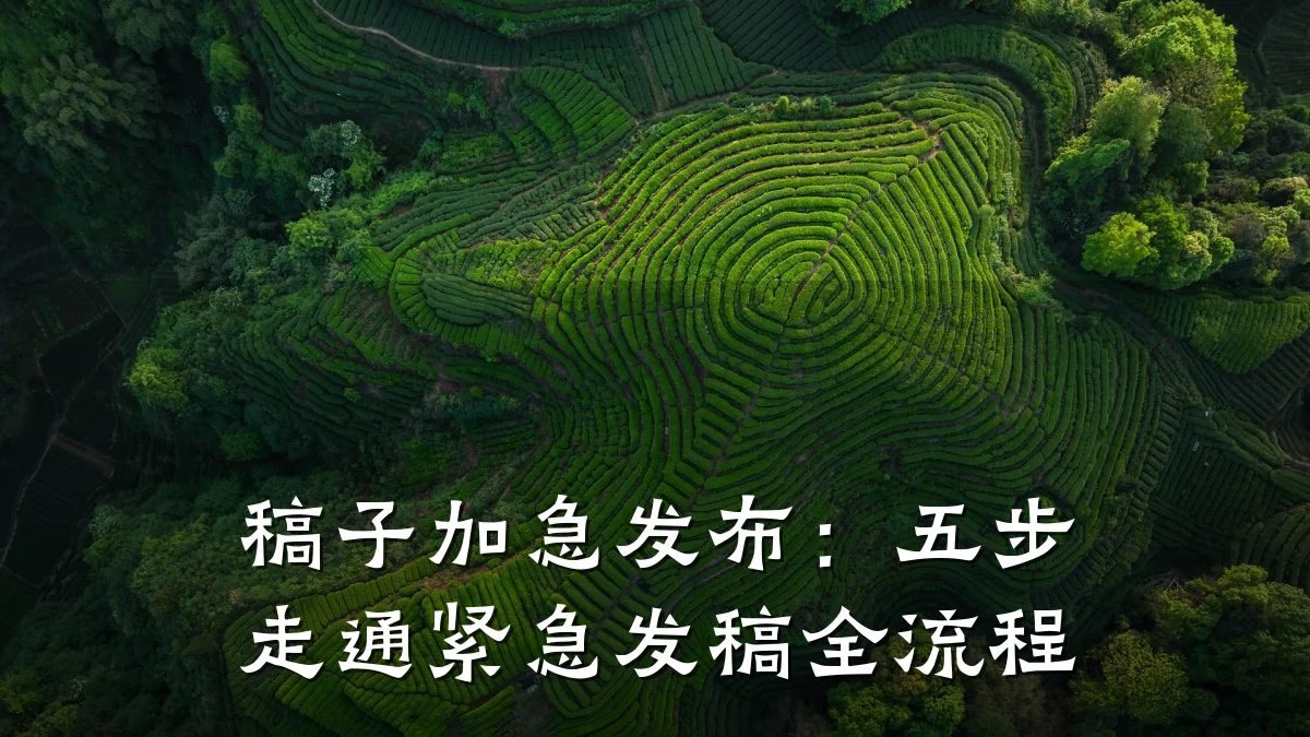 稿子加急发布:五步走通紧急发稿全流程