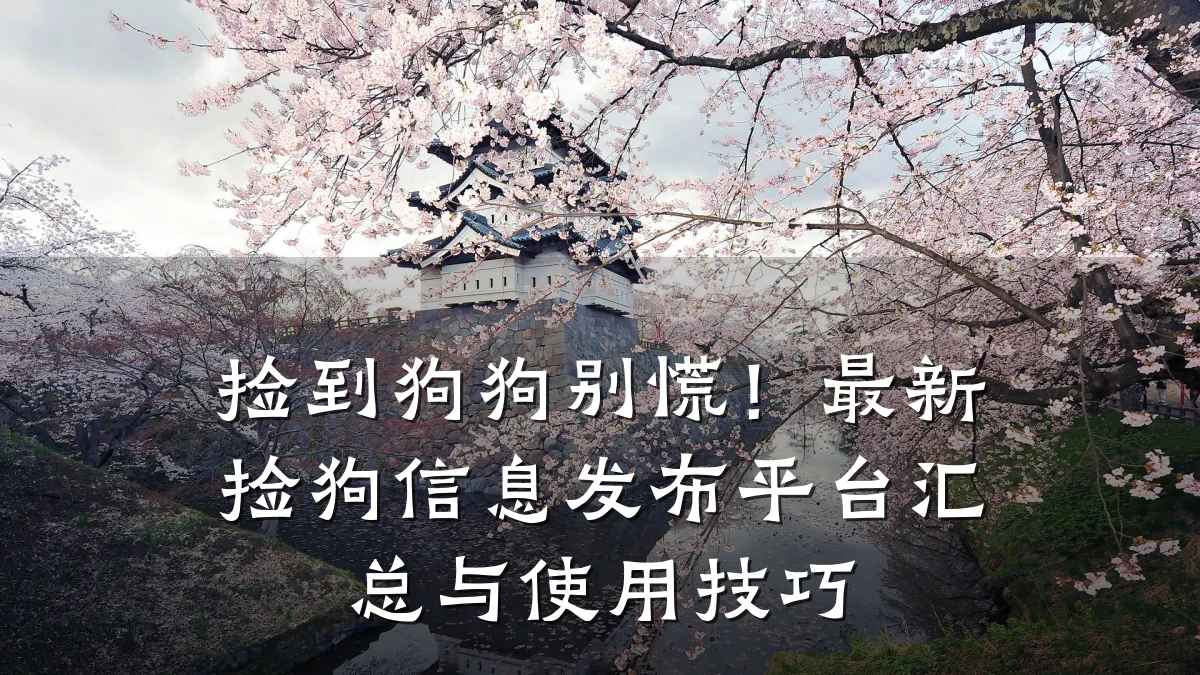 捡到狗狗别慌!最新捡狗信息发布平台汇总与使用技巧
