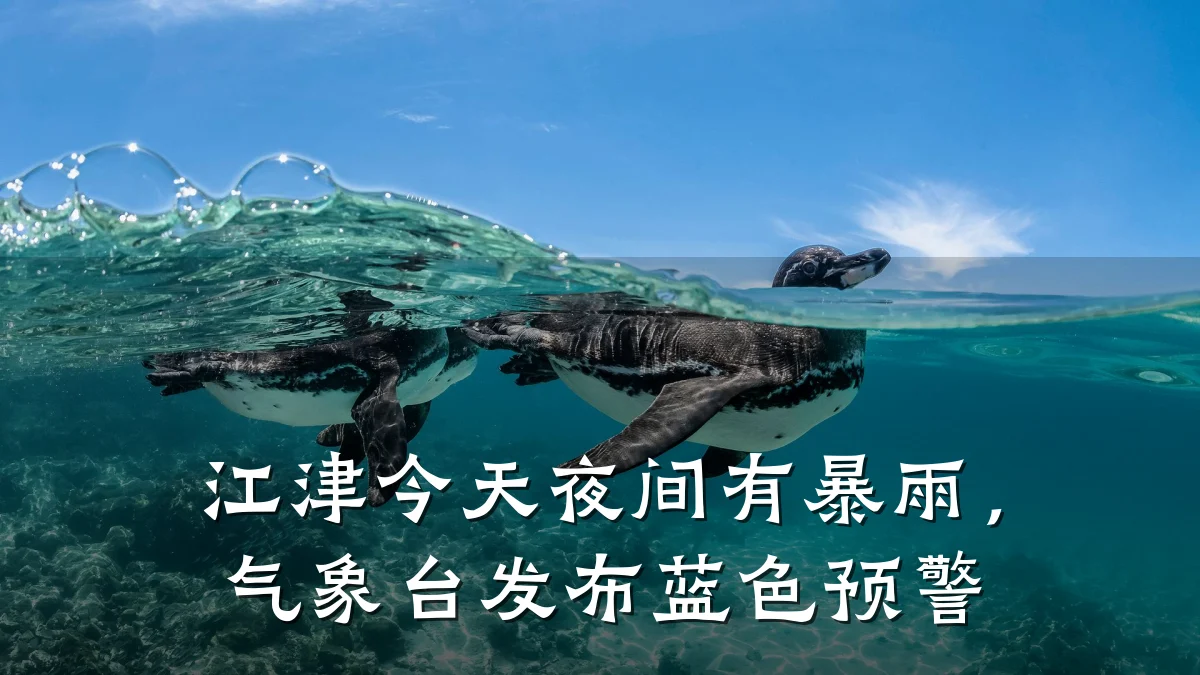 江津今天夜间有暴雨，气象台发布蓝色预警