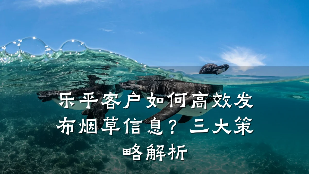 乐平客户如何高效发布烟草信息?三大策略解析