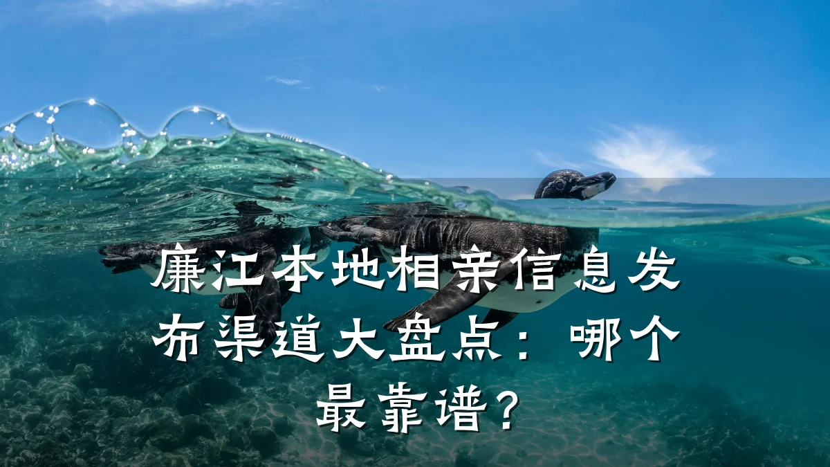 廉江本地相亲信息发布渠道大盘点：哪个最靠谱？