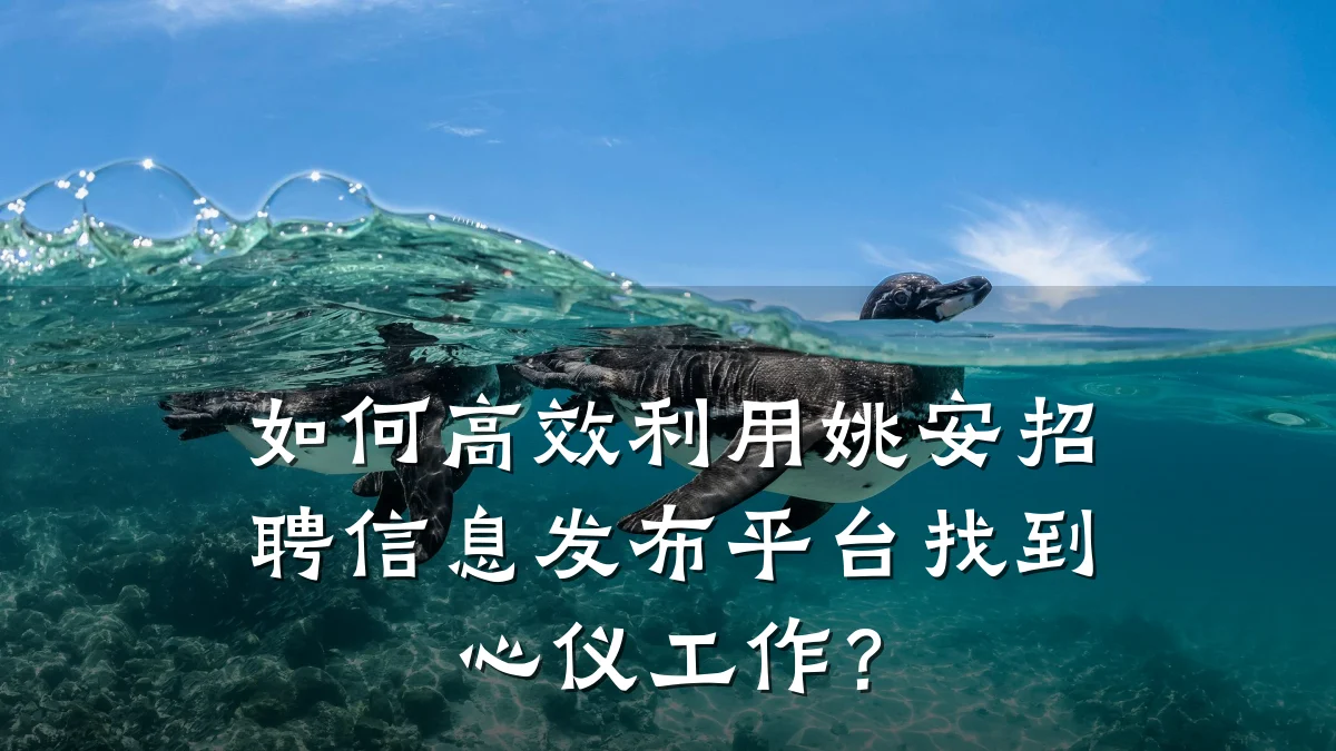 如何高效利用姚安招聘信息发布平台找到心仪工作?