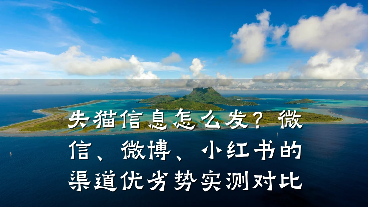 失猫信息怎么发?微信、微博、小红书的渠道优劣势实测对比