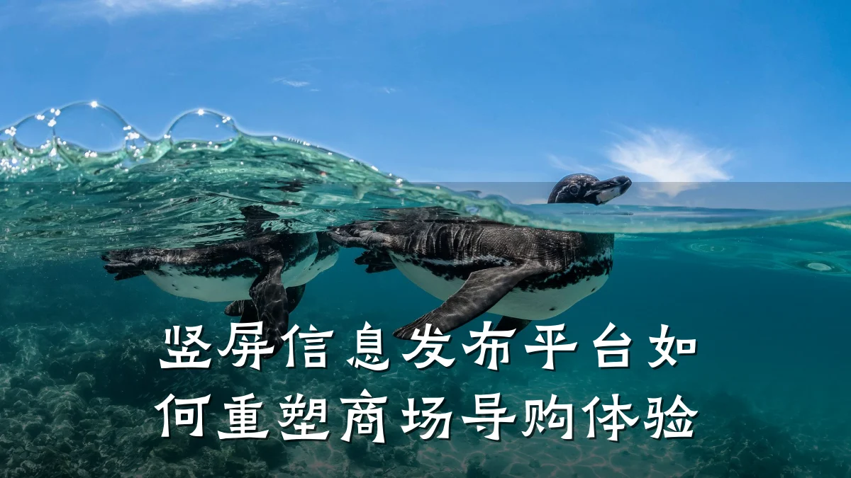 竖屏信息发布平台如何重塑商场导购体验