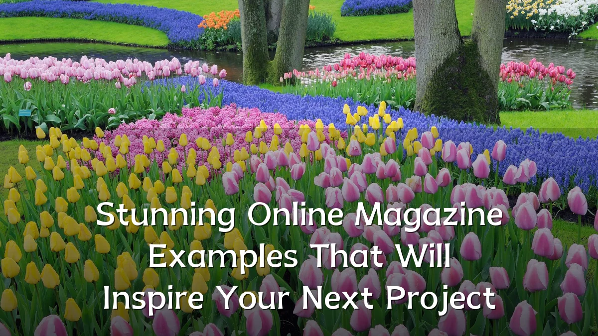 Stunning Online Magazine Examples That Will Inspire Your Next Project