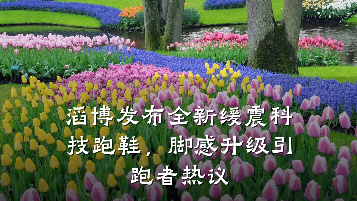 滔博发布全新缓震科技跑鞋,脚感升级引跑者热议