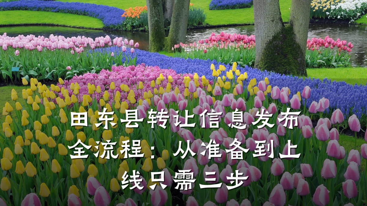 田东县转让信息发布全流程:从准备到上线只需三步
