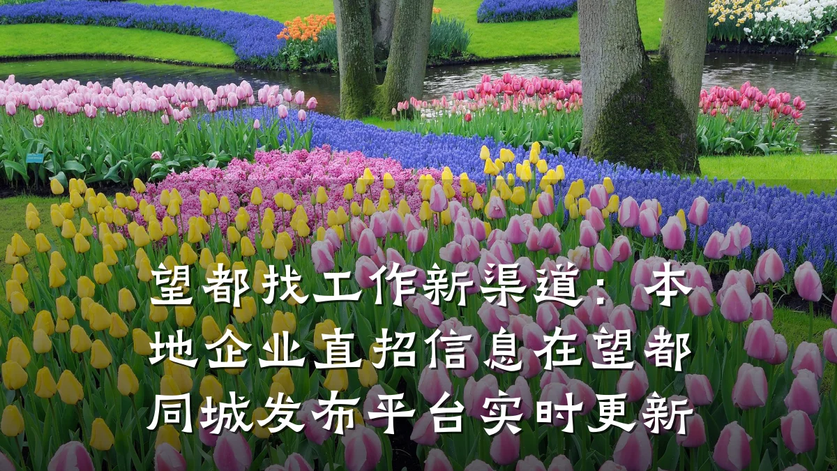 望都找工作新渠道:本地企业直招信息在望都同城发布平台实时更新