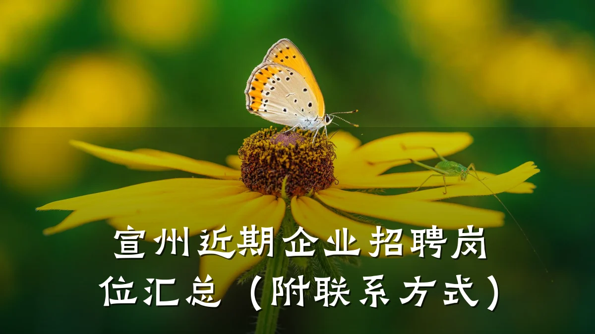 宣州近期企业招聘岗位汇总(附联系方式)