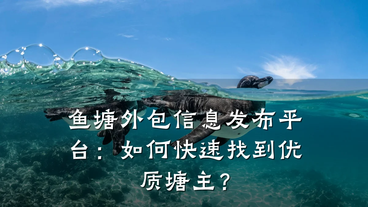 鱼塘外包信息发布平台:如何快速找到优质塘主?