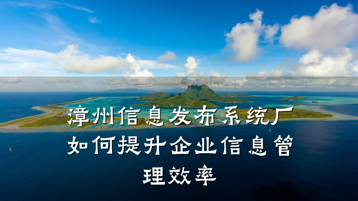 漳州信息发布系统厂如何提升企业信息管理效率