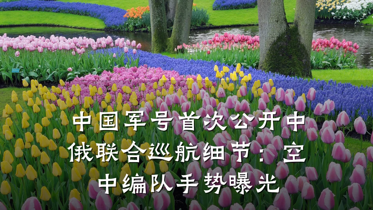 中国军号首次公开中俄联合巡航细节:空中编队手势曝光