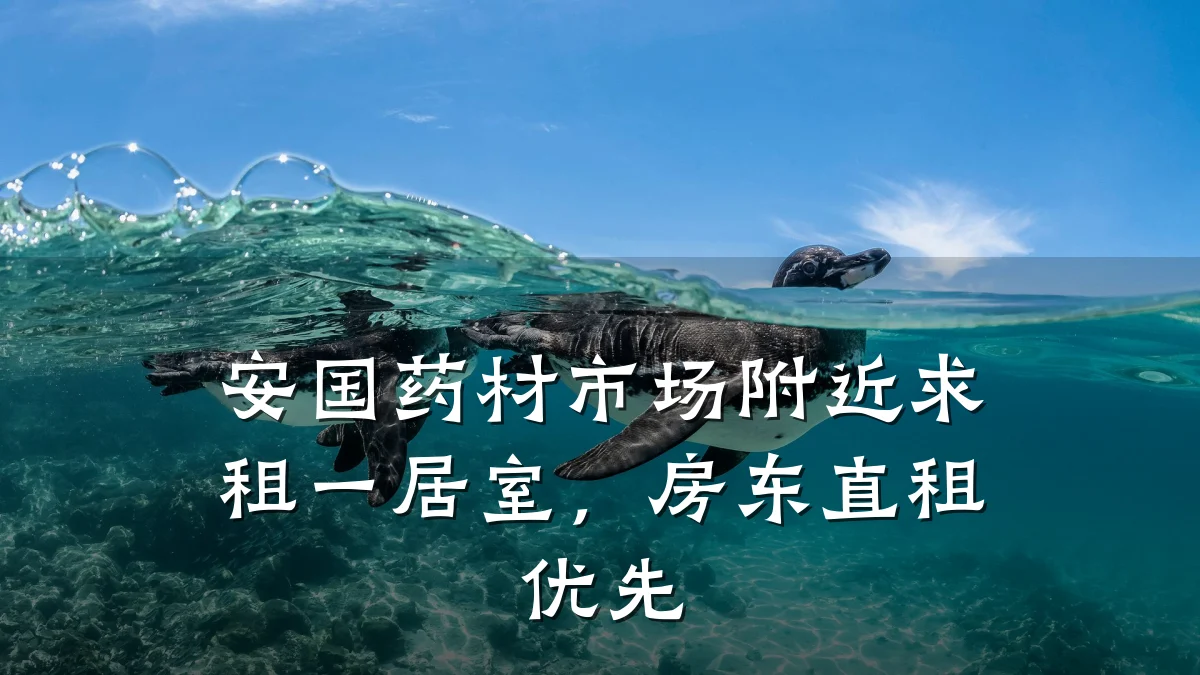 安国药材市场附近求租一居室,房东直租优先