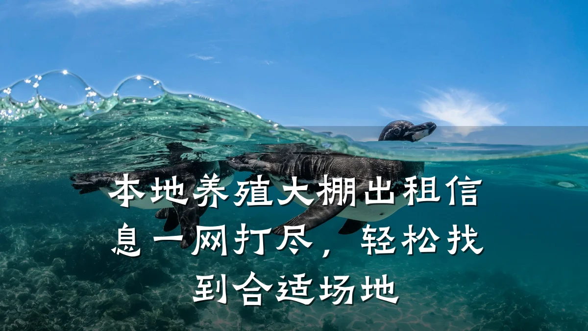 本地养殖大棚出租信息一网打尽,轻松找到合适场地