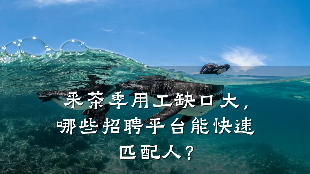 采茶季用工缺口大,哪些招聘平台能快速匹配人?
