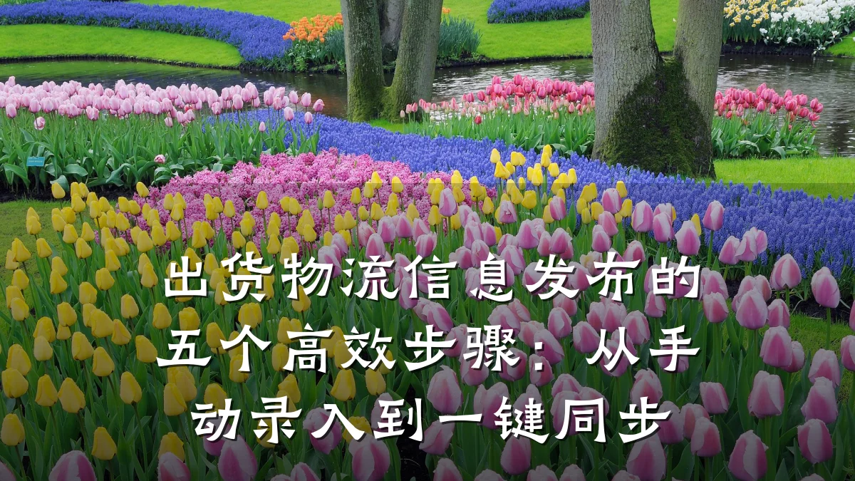出货物流信息发布的五个高效步骤:从手动录入到一键同步
