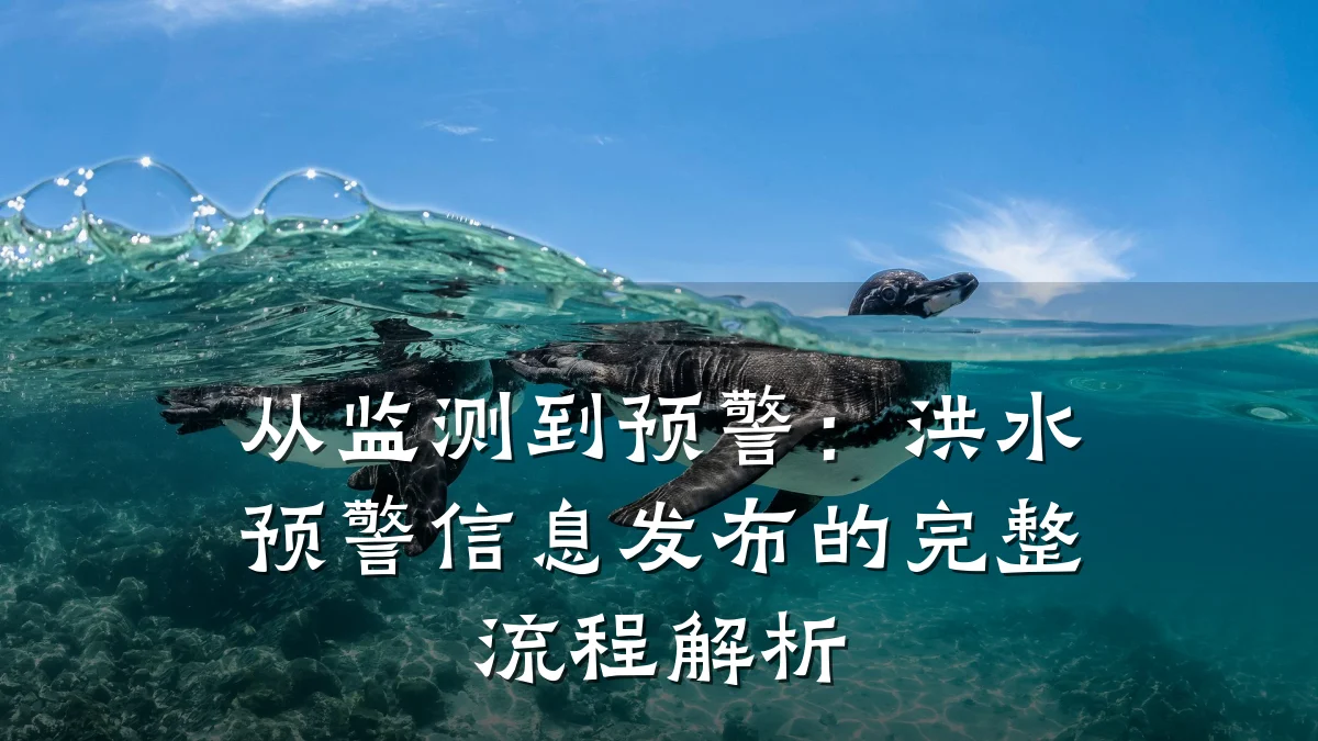 从监测到预警:洪水预警信息发布的完整流程解析
