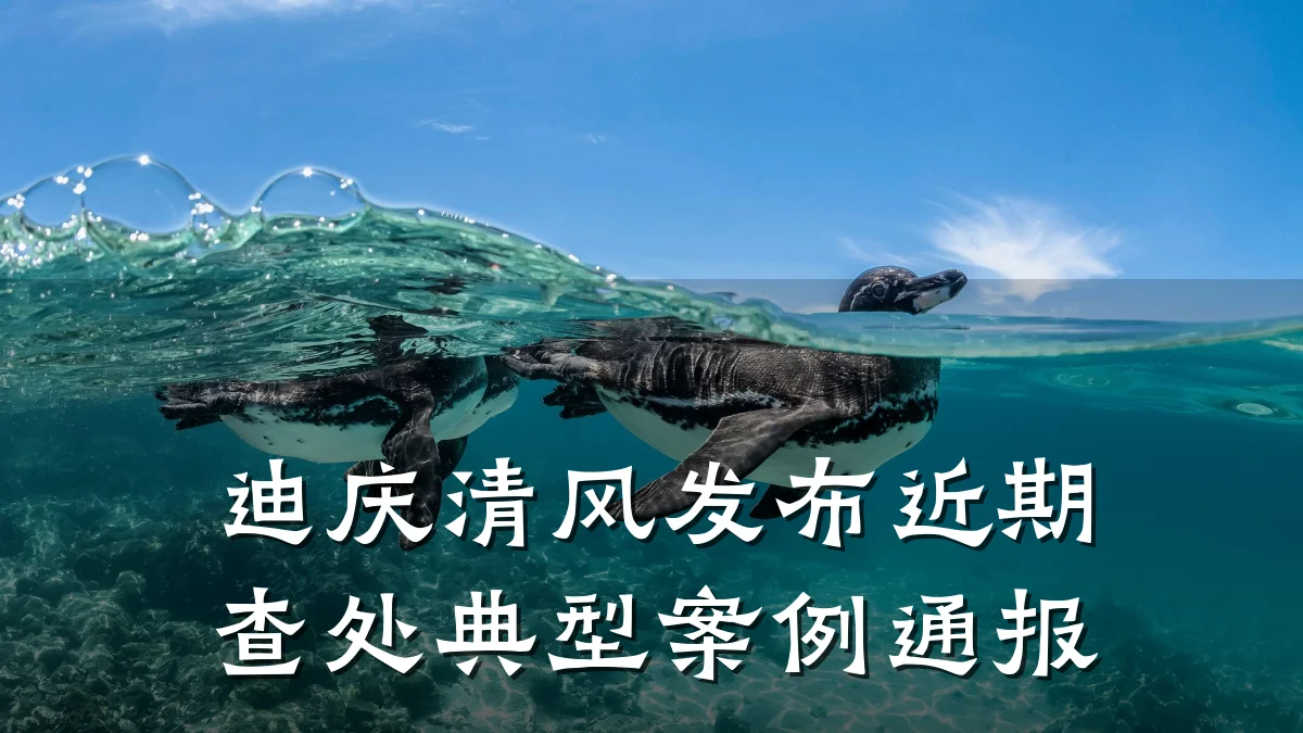 迪庆清风发布近期查处典型案例通报