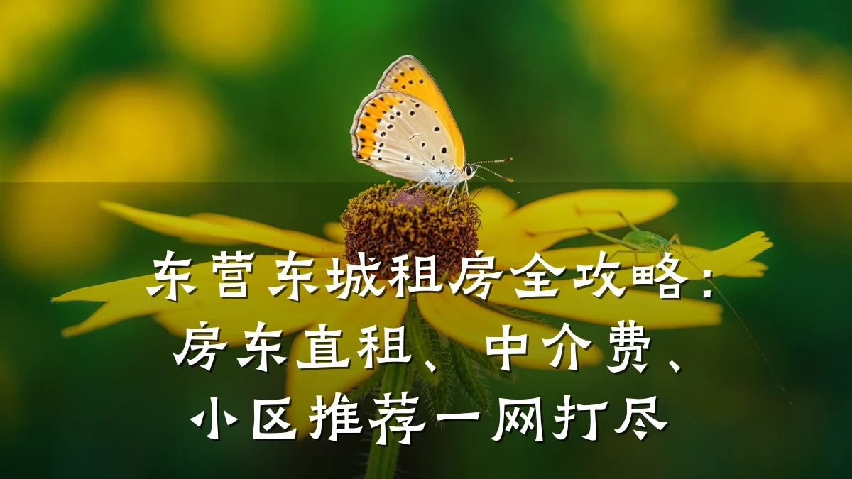 东营东城租房全攻略:房东直租、中介费、小区推荐一网打尽