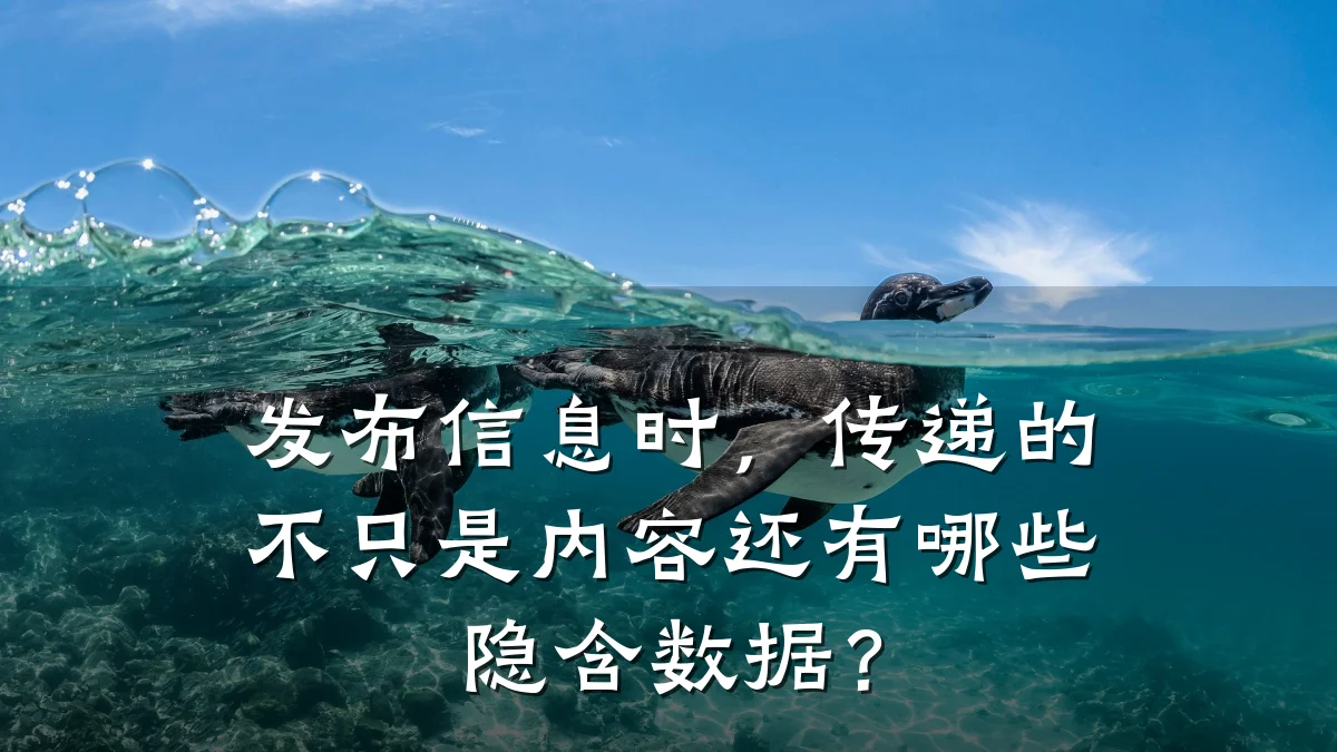 发布信息时,传递的不只是内容还有哪些隐含数据?