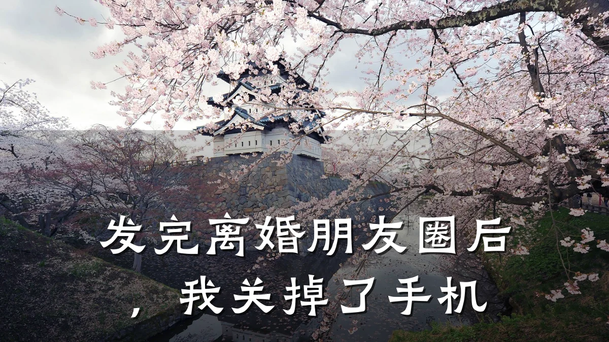 发完离婚朋友圈后,我关掉了手机
