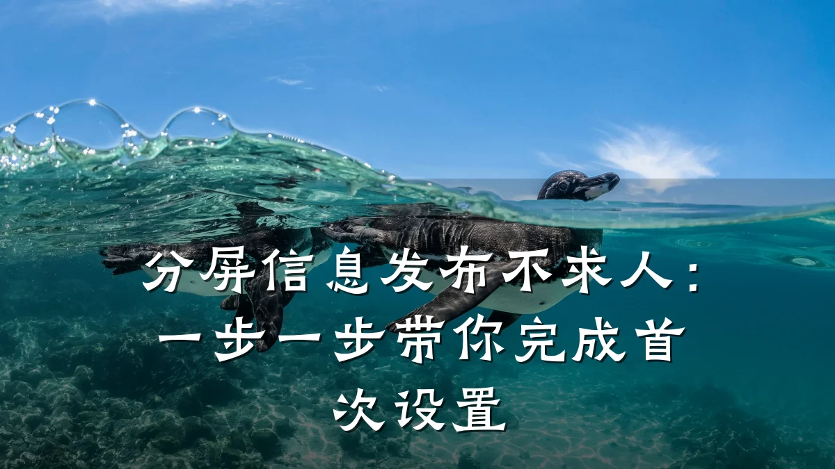 分屏信息发布不求人:一步一步带你完成首次设置