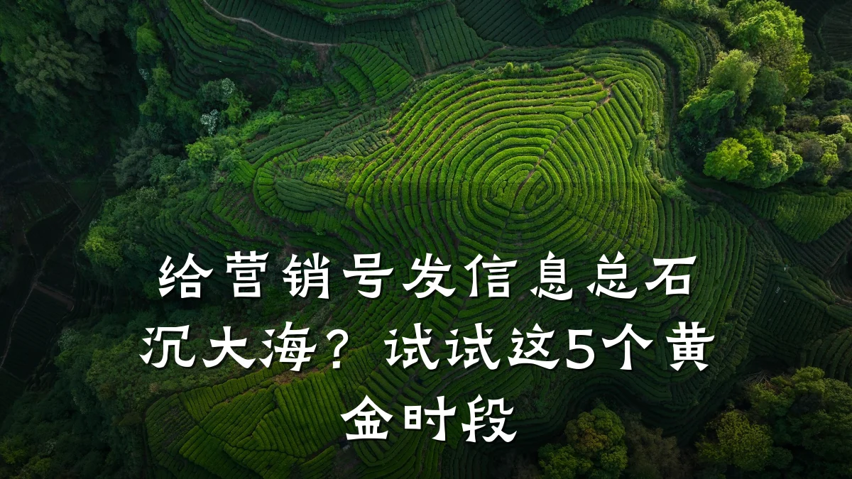 给营销号发信息总石沉大海?试试这5个黄金时段