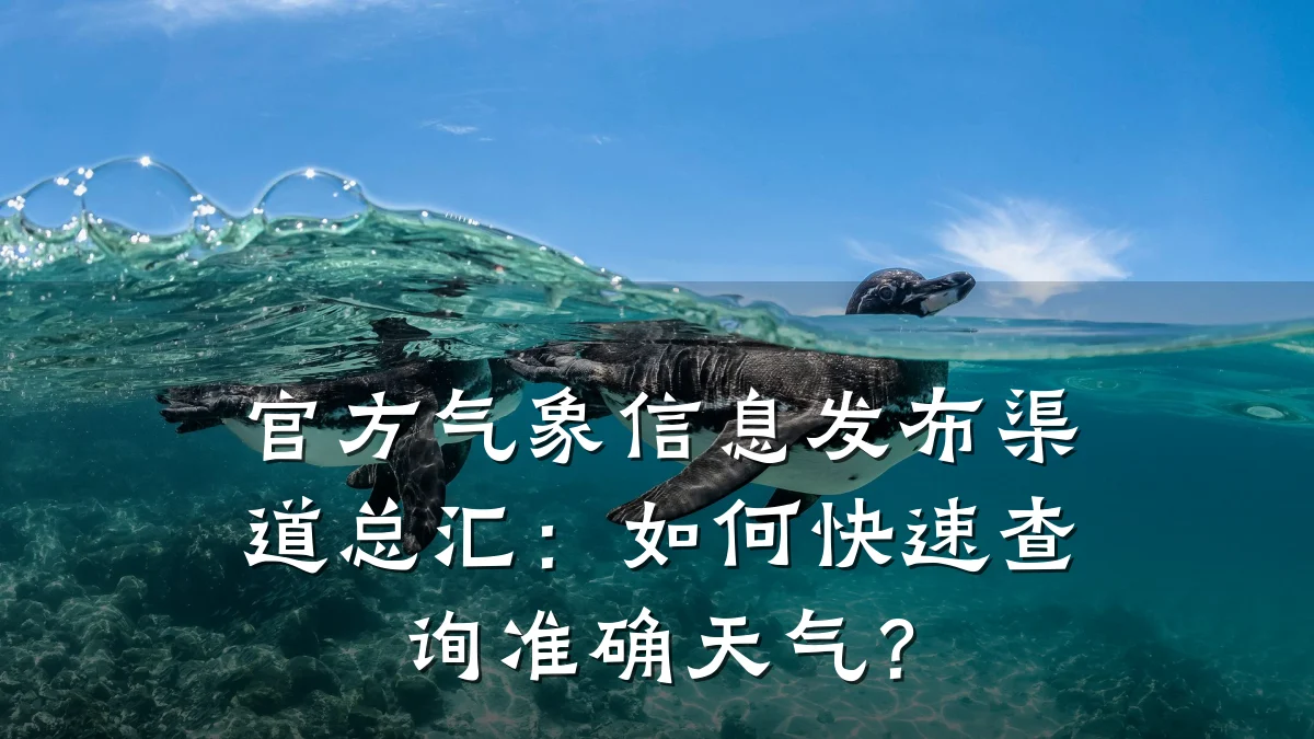 官方气象信息发布渠道总汇：如何快速查询准确天气？