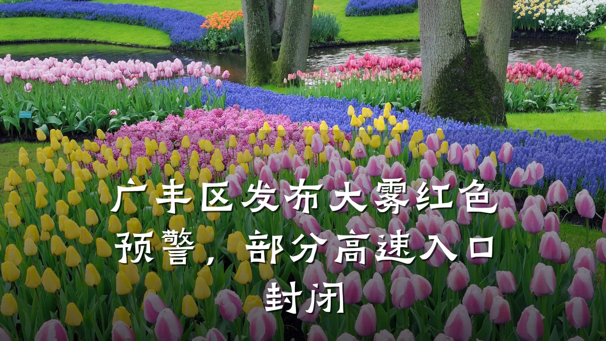 广丰区发布大雾红色预警,部分高速入口封闭