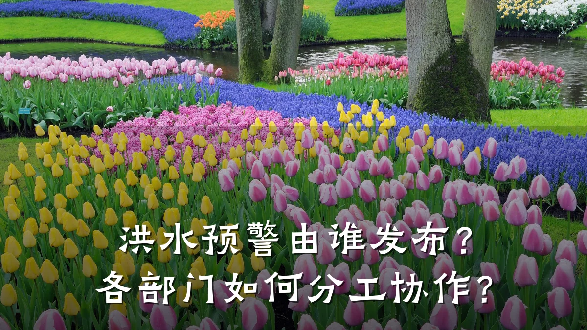 洪水预警由谁发布?各部门如何分工协作?