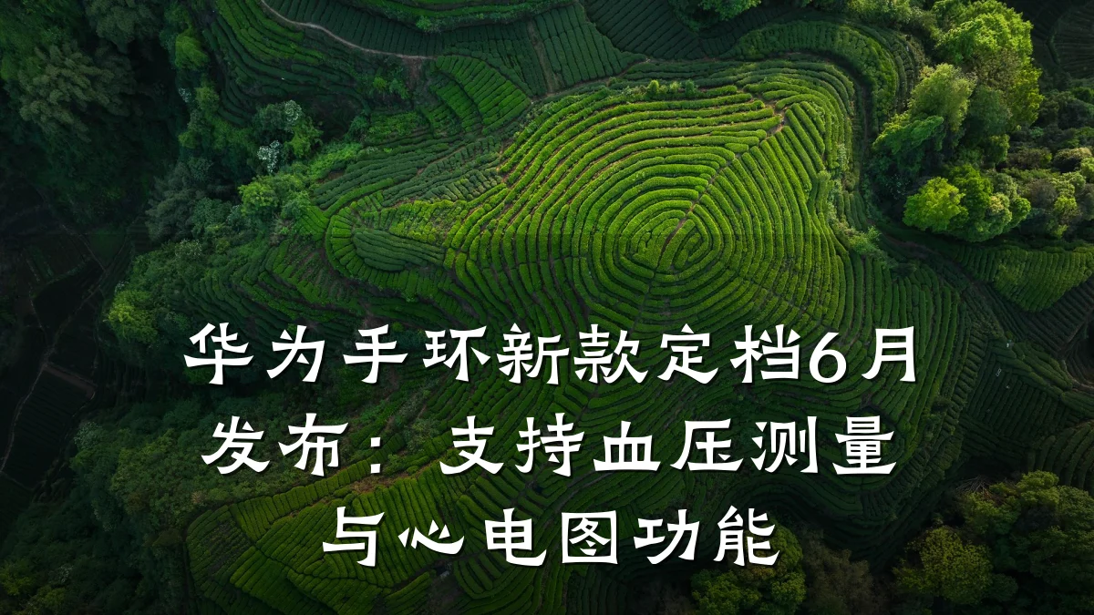 华为手环新款定档6月发布:支持血压测量与心电图功能