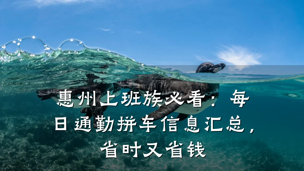 惠州上班族必看:每日通勤拼车信息汇总,省时又省钱