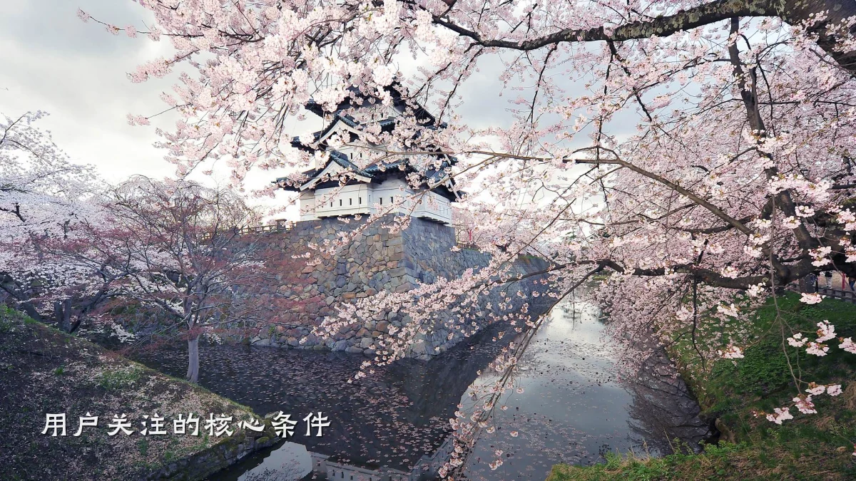 用户关注的核心条件
