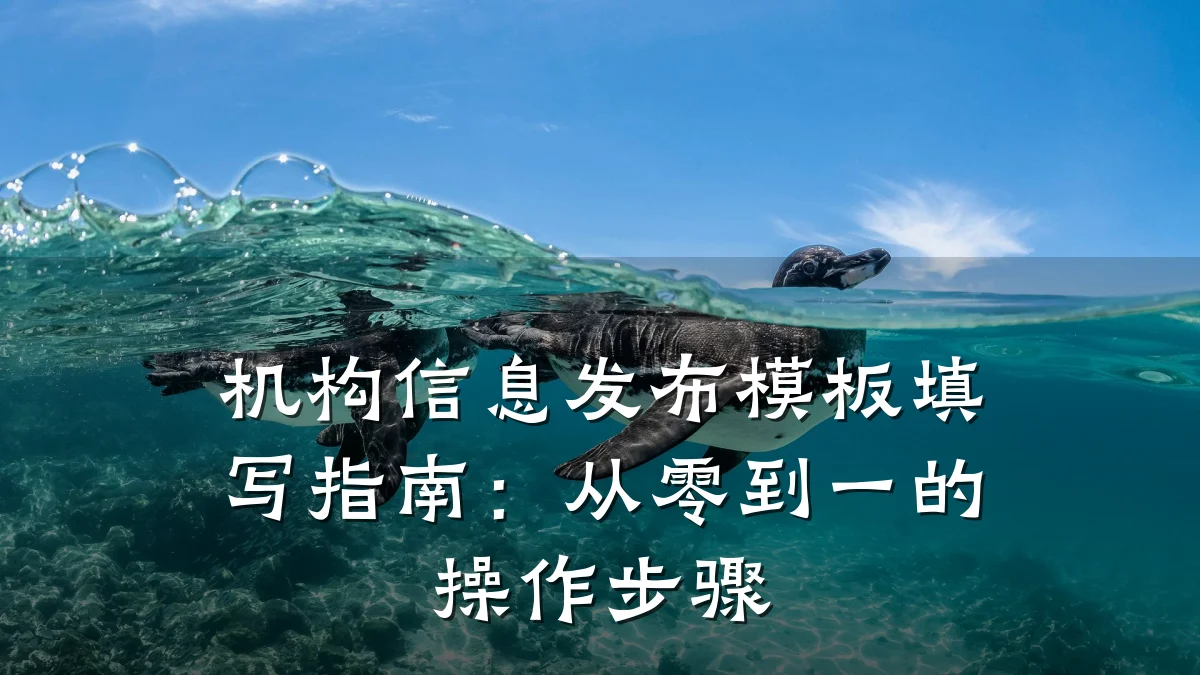 机构信息发布模板填写指南:从零到一的操作步骤