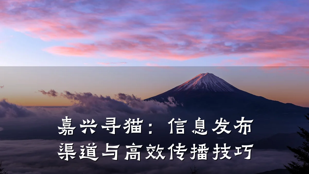 嘉兴寻猫:信息发布渠道与高效传播技巧