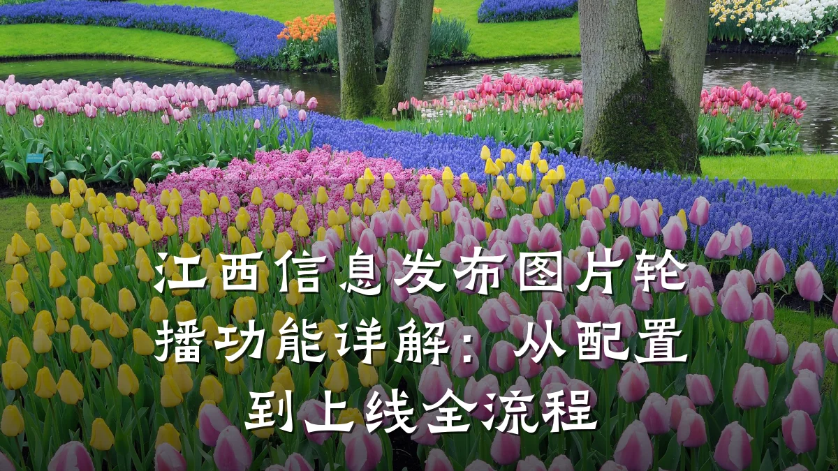 江西信息发布图片轮播功能详解:从配置到上线全流程