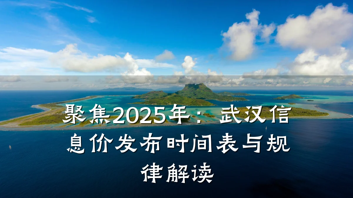 聚焦2025年：武汉信息价发布时间表与规律解读