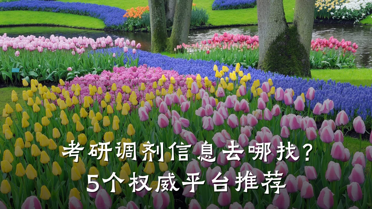 考研调剂信息去哪找?5个权威平台推荐