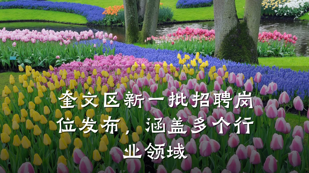 奎文区新一批招聘岗位发布,涵盖多个行业领域