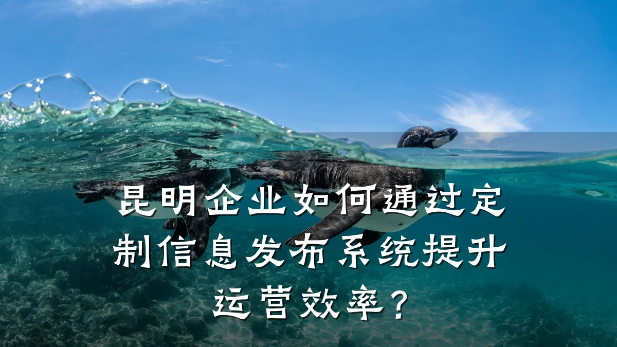 昆明企业如何通过定制信息发布系统提升运营效率?