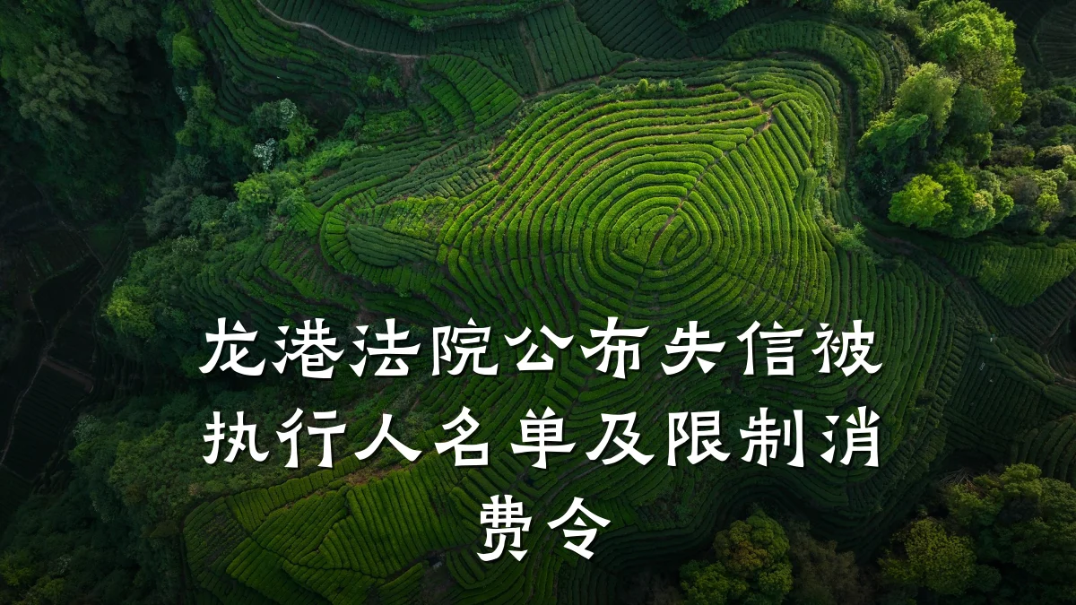 龙港法院公布失信被执行人名单及限制消费令