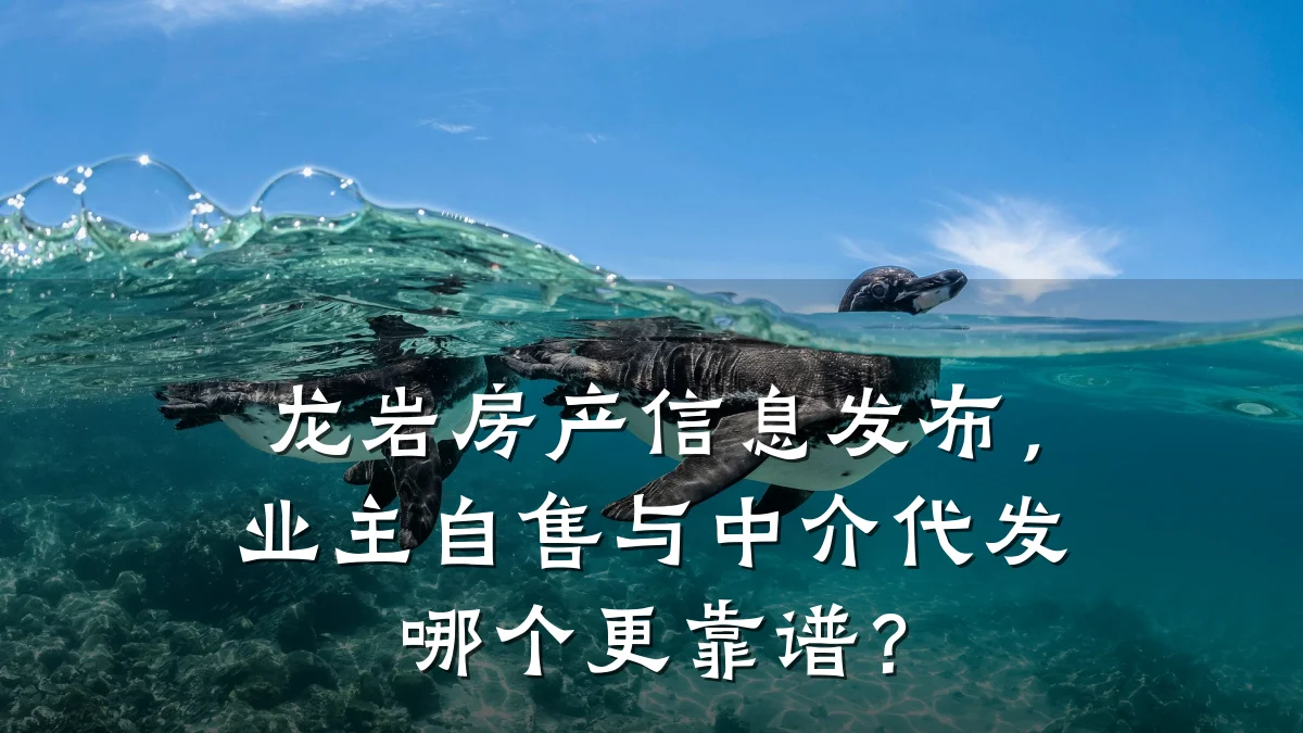 龙岩房产信息发布,业主自售与中介代发哪个更靠谱?