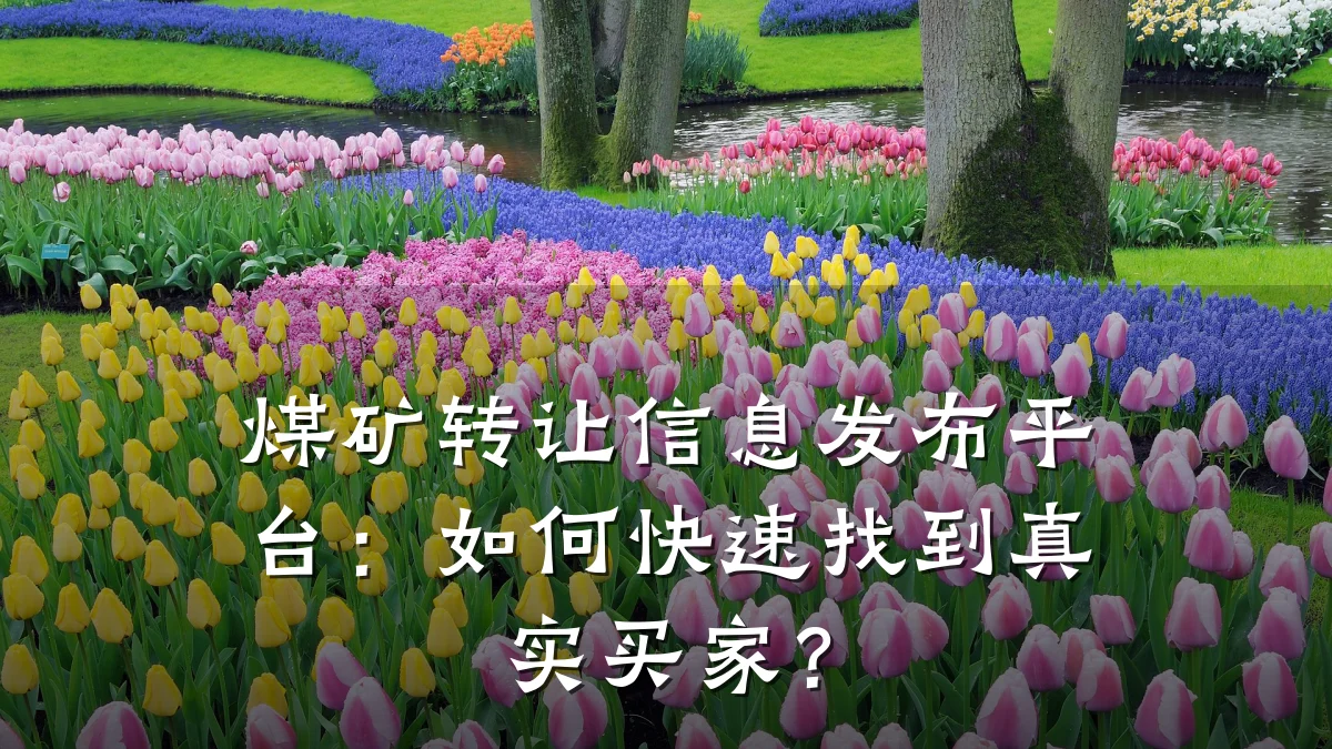 煤矿转让信息发布平台：如何快速找到真实买家？